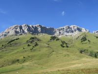 IMG_5998-001