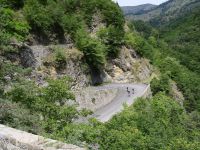IMG_6855-001
